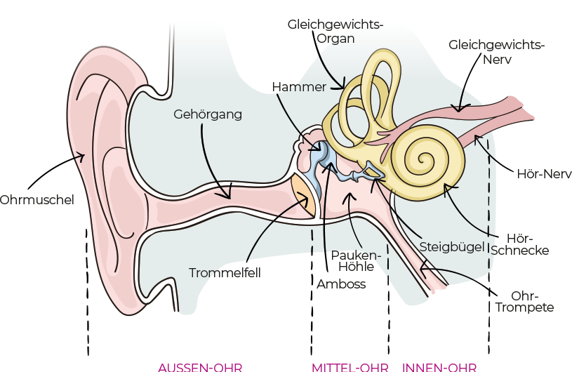Der Brillenmacher Frau freut sich über Ihre neuen Hörsysteme.jpg